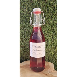 Erdbeersirup (250ml)