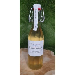 Brennesselsirup (250 ml)