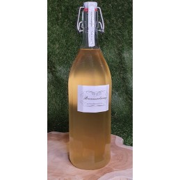 Brennesselsirup (1000 ml)